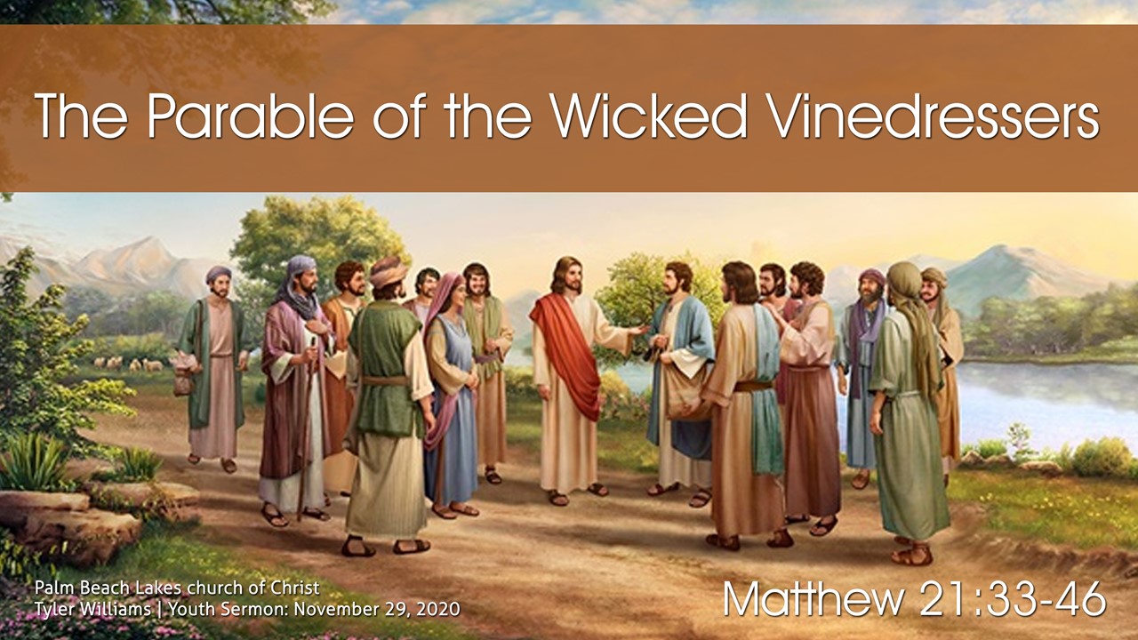 the-parable-of-the-wicked-vinedressers-palm-beach-lakes-church-of-christ