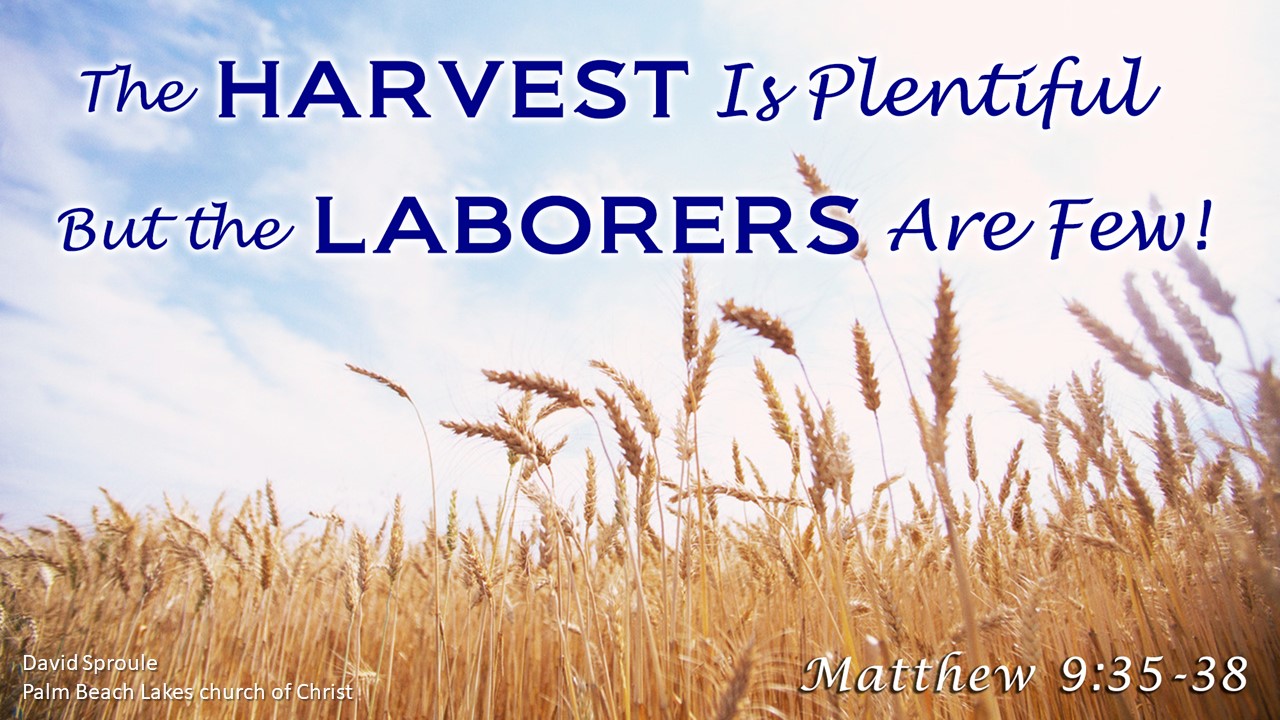 The Harvest Is Plentiful, But the Laborers Are Few! - Palm Beach Lakes ...