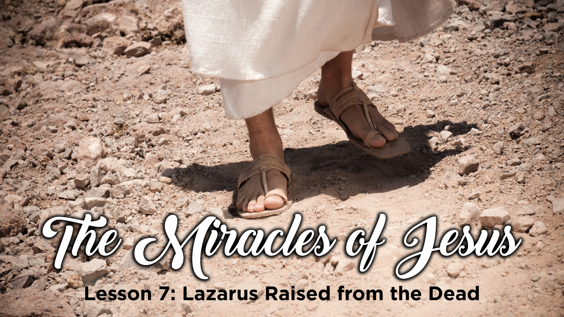 Lazarus Raised From The Dead Palm Beach Lakes Church Of Christ Lazarus Raised From The Dead Palm Beach Lakes Church Of Christ